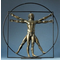 Mouseion The Vitruvian man (ca. 1490) Bronze - Large