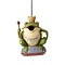 Jim Shore's Heartwood Creek Frog Prince Birdhouse