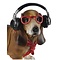 Studio Collection Dachshund Dog With Headphones