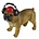 Studio Collection Bulldog With Headphones
