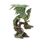 Anne Stokes Adult Forest Dragon