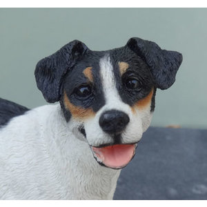 Castagna Jack Russel (Tricolor)