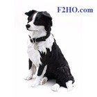 Leonardo Collection Border Collie met Riem