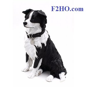 Leonardo Collection Border Collie with Leash