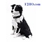 Leonardo Collection Border Collie with Leash