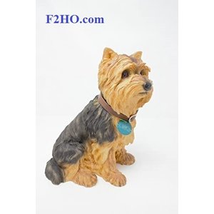 Leonardo Collection Yorkshire Terrier met Riem