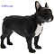 Leonardo Collection Franse Bulldog