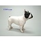 Leonardo Collection Franse Bulldog