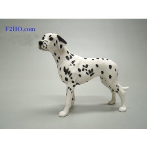 Leonardo Collection Dalmatian