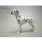 Leonardo Collection Dalmatian (Dalmatiër)