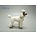 Leonardo Collection Poodle (White)