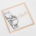Disney Magical Moments Pooh Classic Collectable Coaster
