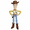 Disney Magical Moments Woody