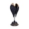 Willow Hall Collection Angel Wings "Dark Angel"