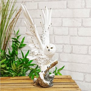 Studio Collection Owl (Naturecraft Collection)