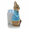 Peter Rabbit (Beatrix Potter) by Border Peter Rabbit Perpetual Calendar