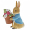 Peter Rabbit (Beatrix Potter) by Border Peter Rabbit Brings Flowers