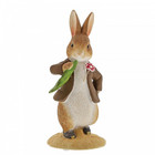 Peter Rabbit (Beatrix Potter) by Border Benjamin ate a Lettuce Leaf