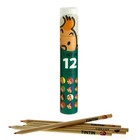 Tintin (Kuifje) Tintin colouring pencils (12 pc.)