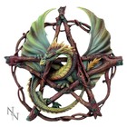 Anne Stokes Forest Pentagram Dragon