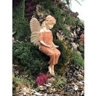 Flower Fairies Lijsterbes Fairy (Steker)