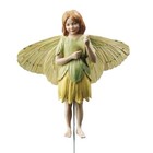 Flower Fairies The Celandine Fairy