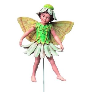 Flower Fairies The Scentless Mayweed Fairy