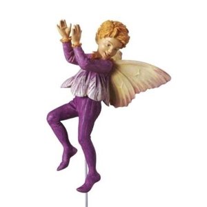 Flower Fairies Crocus Fairy Boy