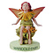 Flower Fairies The Marigold Fairy