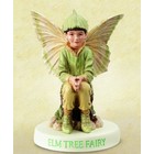 Flower Fairies Iep Fairy