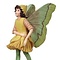 Flower Fairies Gele Narcis Fairy