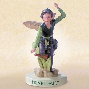 Flower Fairies Privet Fairy (on Base)