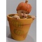 Anne Geddes Pumpkin Baby