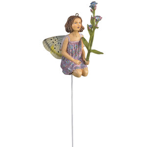 Flower Fairies Forget Me Not Fairy (Box)