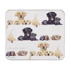 Leonardo Collection Coasters "Lovable Labs"