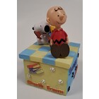 Peanuts (Snoopy) Snoopy & Charly Brown 'Books' (Box)