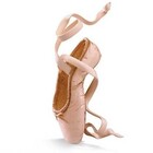 Just the Right Shoe En Pointe