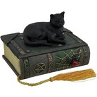 Studio Collection Black Cat on Cobweb Jewelery Box