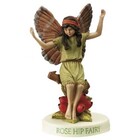 Flower Fairies The Rose Hip Fairy