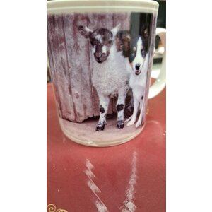 Border Fine Arts  Mug "Molly & Meg" (Border Collie)