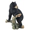 Studio Collection American Black Bear