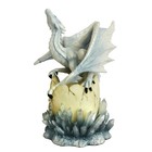 Studio Collection White Dragon Baby "Wyrex"