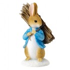 Peter Rabbit (Beatrix Potter) by Border Peter Carrying Sticks