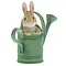 Peter Rabbit (Beatrix Potter) by Border Peter in Watering Can (Peter Rabbit)