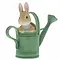Peter Rabbit (Beatrix Potter) by Border Peter in Watering Can (Peter Rabbit)