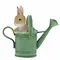 Peter Rabbit (Beatrix Potter) by Border Peter in Watering Can (Peter Rabbit)