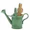 Peter Rabbit (Beatrix Potter) by Border Peter in Watering Can (Peter Rabbit)