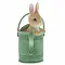 Peter Rabbit (Beatrix Potter) by Border Peter in Watering Can (Peter Rabbit)