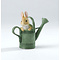 Peter Rabbit (Beatrix Potter) by Border Peter in Watering Can (Peter Rabbit)