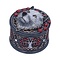 Lisa Parker Guardian of the Fall (Box)